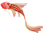鱼