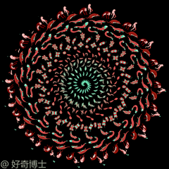 毒液菌菇采集到GIF