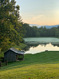1588334420_virginia-3