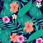 88号热带花卉植物火烈鸟鹦鹉菠萝棕榈树叶图案AI矢量高清设计素材-淘宝网
