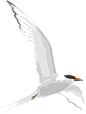 fc12e04d0ed49e191603b514c8b6bda8bdac03da2fd48-qEbD53_fw1200