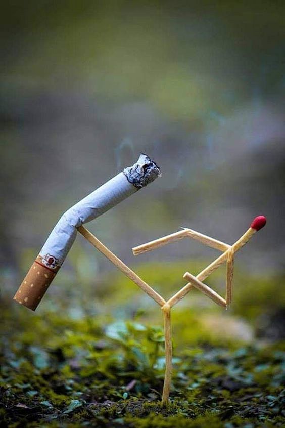 禁止吸烟-功夫风格..