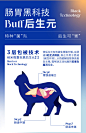 蓝氏猫粮乳鸽猫粮冻干生骨肉夹心粮成猫专用肥猫全阶猫粮1