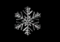 ice-crystal-528528_1920