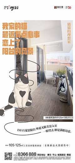 這里采集到动物