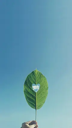 小清新绿色植物手机壁纸
