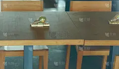 饮食,咖啡馆,中心,巴斯克省,吉普斯考省,外立面,水平画幅,椅子,灯,现代
