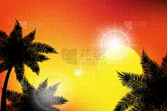 夏天,背景,天空,鸡尾酒,棕榈树,夜晚,概念,自然美,日落,日出