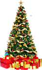 Xmas tree png 3 HQ large by iamszissz圣诞