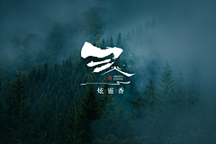 紫色梅子采集到包装设计及LOGO设计