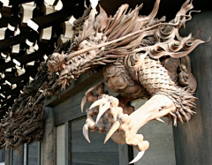花糖果采集到实物素材