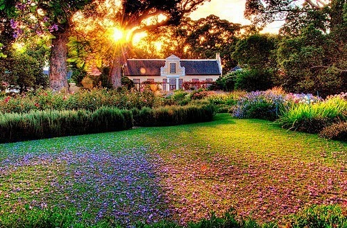 梦境中的绚烂绽放，解析梦见屋前种了好多花的深层含义