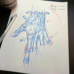 1PxdEsign采集到铅笔画