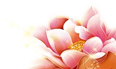 首页-安华卫浴旗舰店-天猫Tmall.com