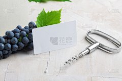 白色空的名片为您的标志或文本