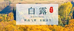 白露节气秋天早安问候公众号首图