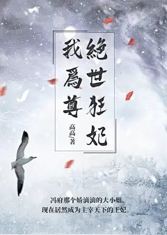 简约古风网文小说书籍封面