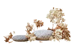 圆润的鹅卵石基座和干花