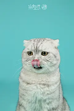 行走的表情包，严肃的大脸！ 哈哈～  徐度时光——棚拍系列