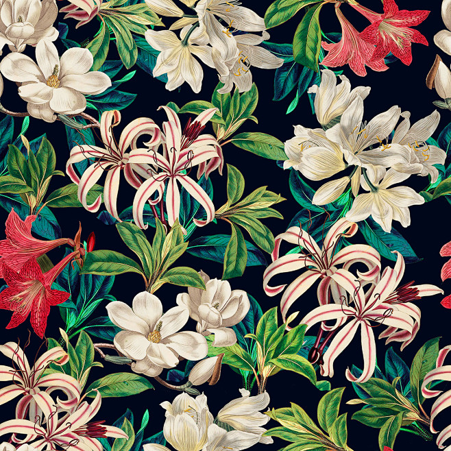 Botanical Print : Es...