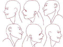 白肆采集到头部