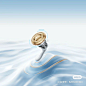 Pin page