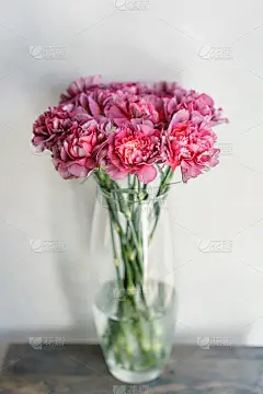 桌上花瓶里插着美丽的康乃馨。一束紫罗兰、紫色和粉红色的花。装饰家。壁纸和背景。垂直图