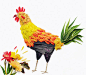 Birds Made of Flowers(原图尺寸：450x391px)