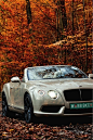 Bentley Continental GT Convertible