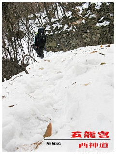 Ningsong2008采集到踏残雪谒五龙宫－－武