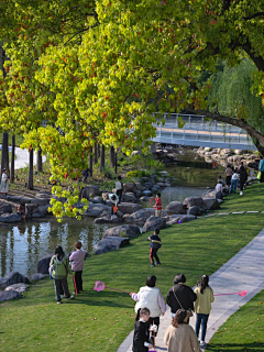 麦子-芒-穗采集到驳岸、滨水
