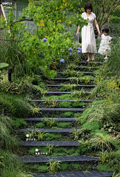欧迪Od采集到pictures