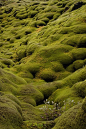 Björgólfur Hávarðsson - Moss-covered lava field in Iceland