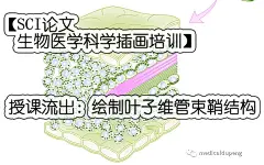 嗯嗯，以后全是视频版发布，不再实时上课  #动画# #灵感的诞生# #3D# #设计# #科学插画# #医学科普# #论文医学插画欣赏# #怎样成为医学插画师# #怎样成为医学动画师# #医学插画# #医学美图# #每日一画# O【SCI论文、生物医学科学插画培训 - 矢量图】... ​​​​
