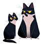 Daily Cat Drawings