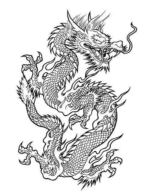 经典传统龙的手绘线稿，高清大图，搞创作，纹身都用的到-花瓣网