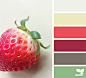 Design Seeds : Design Seeds color palettes ... posted daily for all who love color.