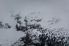 雪景高清摄影素材