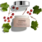 Caudalie (@caudalie)的ins主页 · Lookins · Instagram网页版 (Tofo.me)