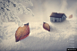 积木房屋枯黄树叶微观雪景冬季雪景海报