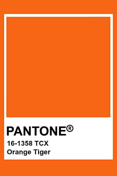 _ich06采集到PANTONE色卡