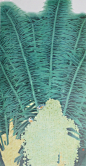 周彦生现代工笔花鸟画
