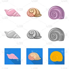 动物,图标,分离着色,自然,螺线,海产,图像,装饰,收集,设计