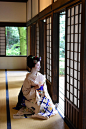 京都の舞妓「ふく乃さん(Fukuno)」写真集～2018年09月18日 - OpenMatome : ふく乃さんが選ぶ「ふく乃賞」受賞おめでとうございます！ふく乃さんのコメント「ひかりがキレイに当たっている。あたたかい雰囲気が伝わってくる！」