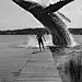 The power of nature:
