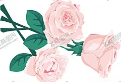 玫瑰 【酷图网】玫瑰花,玫瑰花花朵,玫瑰,手绘鲜花,手绘花朵,花,花朵,绿植,树叶,花草树木,花草,玫瑰花图片,玫瑰花壁纸,玫瑰花素材,素材图片,红玫瑰,月季花,鲜花,鲜花图片,鲜花素材,花瓣,服装印花,T恤印花,情人节,情人节图片,花卉,花蕊