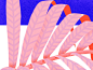 Palm