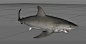 鲨鱼攻击动作gif