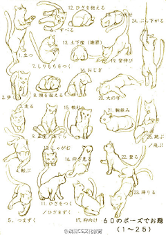 B_jia采集到教程