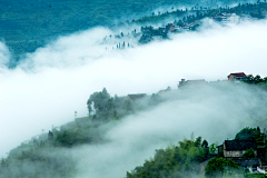 花间禅院采集到丁-摄影禅之风景